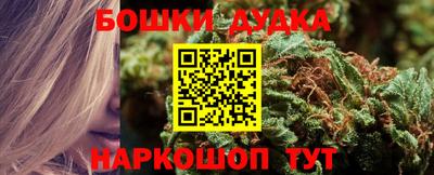 амф Кингисепп
