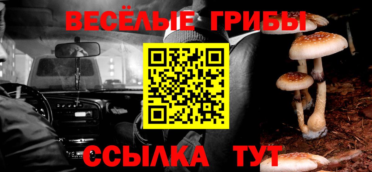 Кстово  закладки  Вход с VPN  Галлюциногенные грибы мицелий 