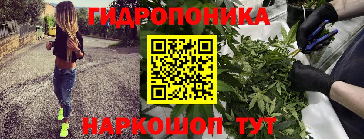 Бошки Шишки гибрид  Вход с VPN  Кстово  Канабис AK-47  Канабис Ganja  Каннабис AK-47 